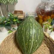 ヒメ日記 2025/08/18 11:52 投稿 ことみ アバンチュール（難波）