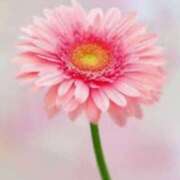 ヒメ日記 2025/09/04 07:46 投稿 ことみ アバンチュール（難波）