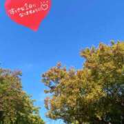 ヒメ日記 2025/09/07 08:46 投稿 ことみ アバンチュール（難波）