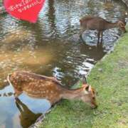 ヒメ日記 2025/09/09 09:14 投稿 ことみ アバンチュール（難波）