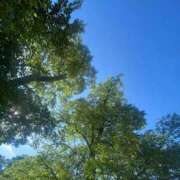 ヒメ日記 2025/09/15 08:59 投稿 ことみ アバンチュール（難波）