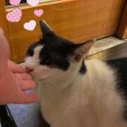 ヒメ日記 2025/09/19 21:26 投稿 ことみ アバンチュール（難波）