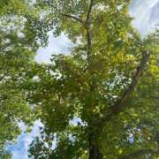 ヒメ日記 2025/09/20 08:55 投稿 ことみ アバンチュール（難波）