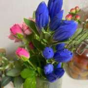 ヒメ日記 2025/10/05 08:10 投稿 ことみ アバンチュール（難波）