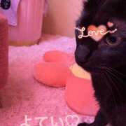 ヒメ日記 2025/10/08 12:48 投稿 ことみ アバンチュール（難波）