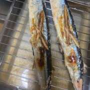 ヒメ日記 2025/10/09 10:40 投稿 ことみ アバンチュール（難波）