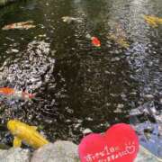 ヒメ日記 2025/10/10 10:32 投稿 ことみ アバンチュール（難波）