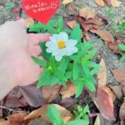 ヒメ日記 2025/10/11 08:58 投稿 ことみ アバンチュール（難波）