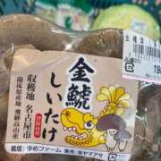 ヒメ日記 2025/11/13 11:31 投稿 ことみ アバンチュール（難波）