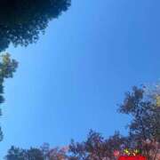 ヒメ日記 2025/11/16 10:36 投稿 ことみ アバンチュール（難波）