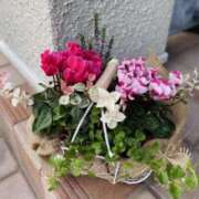 ヒメ日記 2025/12/07 07:31 投稿 ことみ アバンチュール（難波）