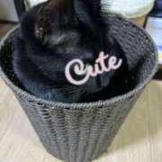 ヒメ日記 2025/12/10 10:47 投稿 ことみ アバンチュール（難波）