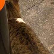 ヒメ日記 2025/12/17 06:10 投稿 ことみ アバンチュール（難波）