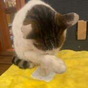 ヒメ日記 2026/02/06 21:30 投稿 ことみ アバンチュール（難波）