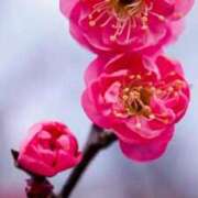 ヒメ日記 2026/02/11 09:24 投稿 ことみ アバンチュール（難波）