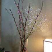 ヒメ日記 2026/03/02 14:13 投稿 ことみ アバンチュール（難波）