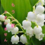 ヒメ日記 2026/03/17 07:14 投稿 ことみ アバンチュール（難波）