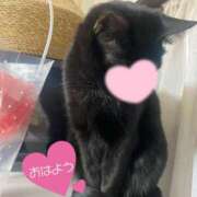 ヒメ日記 2026/03/22 08:54 投稿 ことみ アバンチュール（難波）