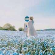 ヒメ日記 2026/04/17 09:51 投稿 ことみ アバンチュール（難波）