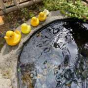 ヒメ日記 2026/04/19 13:49 投稿 ことみ アバンチュール（難波）