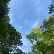 ヒメ日記 2026/04/26 08:57 投稿 ことみ アバンチュール（難波）