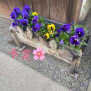 ヒメ日記 2026/04/27 13:36 投稿 ことみ アバンチュール（難波）