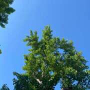 ヒメ日記 2026/05/10 08:57 投稿 ことみ アバンチュール（難波）