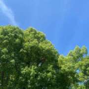 ヒメ日記 2026/05/24 08:32 投稿 ことみ アバンチュール（難波）