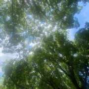 ことみ 6月も楽しみ✨✨✨ アバンチュール（難波）
