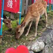 ヒメ日記 2026/07/11 09:11 投稿 ことみ アバンチュール（難波）