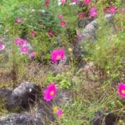 ヒメ日記 2026/09/29 10:17 投稿 ことみ アバンチュール（難波）