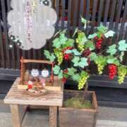ヒメ日記 2026/10/03 09:04 投稿 ことみ アバンチュール（難波）