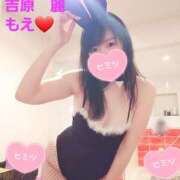 ヒメ日記 2025/01/16 00:15 投稿 もえ 麗（れい）