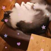 ヒメ日記 2025/01/25 07:16 投稿 もえ 麗（れい）