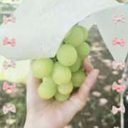 ヒメ日記 2025/09/17 07:24 投稿 もえ 麗（れい）