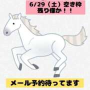 ヒメ日記 2024/06/27 12:18 投稿 つきの 麗（れい）