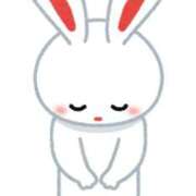 ヒメ日記 2024/12/10 17:55 投稿 つきの 麗（れい）