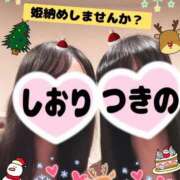 ヒメ日記 2024/12/12 15:04 投稿 つきの 麗（れい）