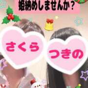 ヒメ日記 2024/12/17 10:39 投稿 つきの 麗（れい）