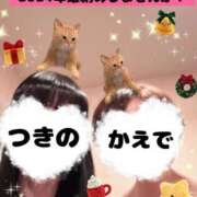 ヒメ日記 2024/12/21 07:48 投稿 つきの 麗（れい）