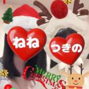 ヒメ日記 2024/12/23 11:53 投稿 つきの 麗（れい）