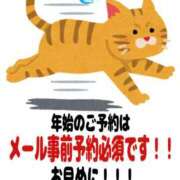ヒメ日記 2024/12/28 12:07 投稿 つきの 麗（れい）