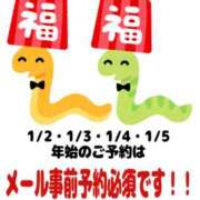 ヒメ日記 2024/12/30 09:45 投稿 つきの 麗（れい）
