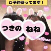 ヒメ日記 2025/02/27 11:21 投稿 つきの 麗（れい）