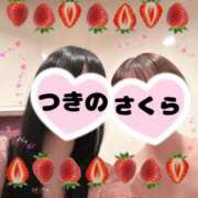 ヒメ日記 2025/02/28 16:58 投稿 つきの 麗（れい）