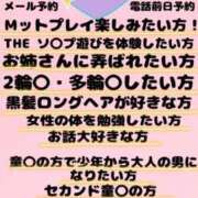 ヒメ日記 2025/04/02 08:56 投稿 つきの 麗（れい）