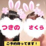 ヒメ日記 2025/04/21 13:31 投稿 つきの 麗（れい）