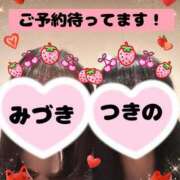 ヒメ日記 2025/04/24 15:24 投稿 つきの 麗（れい）