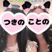 ヒメ日記 2025/06/09 13:15 投稿 つきの 麗（れい）