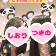 ヒメ日記 2025/06/16 12:47 投稿 つきの 麗（れい）